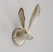  Hare Hook