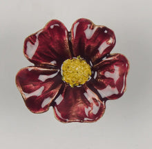  Red Daisy Knob