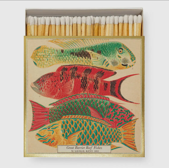 Natural History Museum Fish - Matches